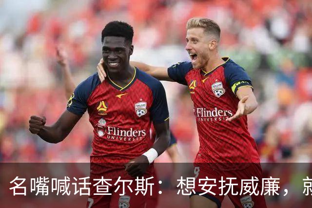 名嘴喊话查尔斯：想安抚威廉，就该剥夺哈里梅根头衔