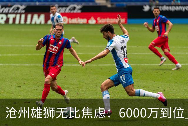 沧州雄狮无比焦虑：6000万到位 准入陷入僵局？